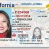 can i drive if i lost my license california