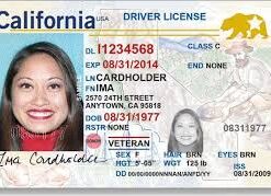 can i drive if i lost my license california