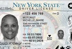 New York driver's license